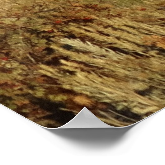 D30 Mule Deer Bucks Poster (Hoek)