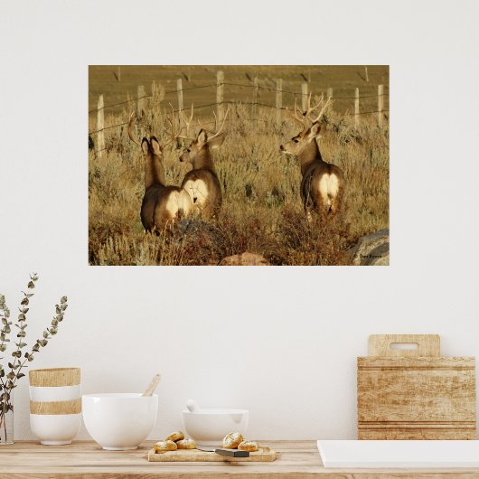 D30 Mule Deer Bucks Poster (Keuken)
