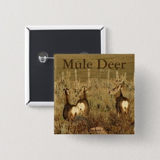 D30 Mule Deer Bucks Vierkante Button 5,1 Cm (Voorkant /achterkant)
