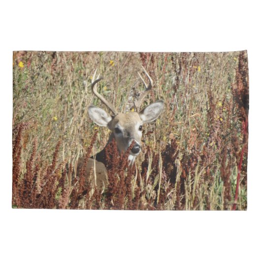 D31 Witstaartbier in het onkruid Kussensloop (Achterkant)