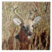 D31 Witstaartbier in het onkruid Tegeltje (Voorkant)