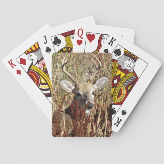 D31 Witstaarthert in het onkruid Pokerkaarten (Achterkant)