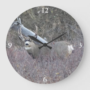 D32 Mule Deer Buck Grote Klok