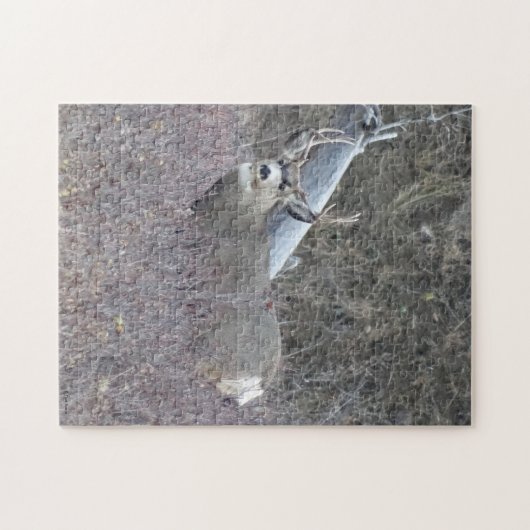 D32 Mule Deer Buck Legpuzzel (Horizontaal)