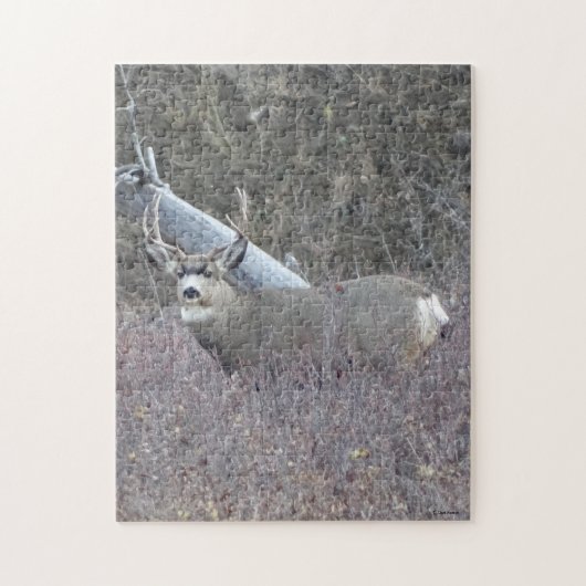 D32 Mule Deer Buck Legpuzzel (Verticaal)