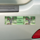 D33 bumpersticker van hindekoei (Op auto)