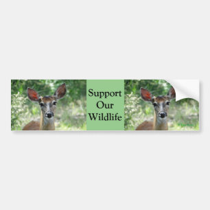 D33 bumpersticker van hindekoei