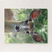D33 White-tailed Deer Doe Legpuzzel (Horizontaal)