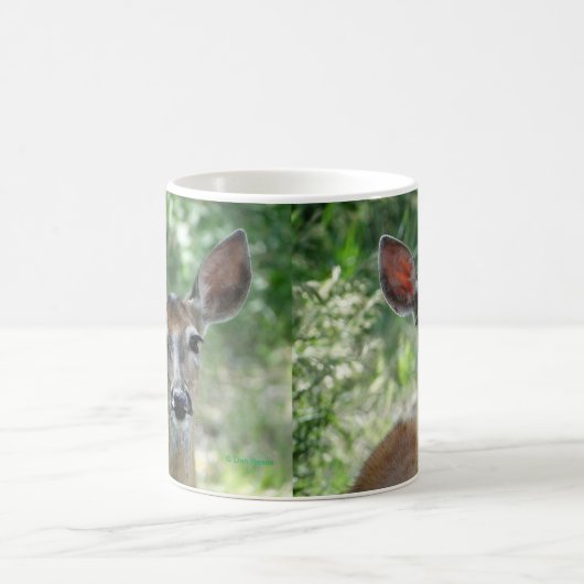 D33 Witstaart Herten Doe mok (Center)