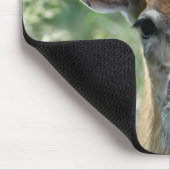 D33 Witstaart Herten Doe muismat (Hoek)