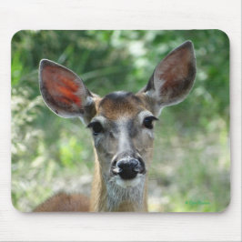 D33 Witstaart Herten Doe muismat