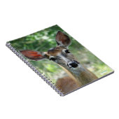 D33 Witstaarthert Doe Notitieboek (Rechterzijde)