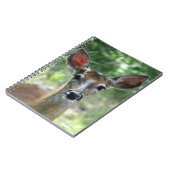 D33 Witstaarthert Doe Notitieboek (Linkerzijde)