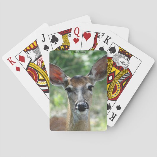D33 Witstaarthert Doe Pokerkaarten (Achterkant)