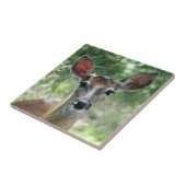 D33 Witstaarthert Doe Tegeltje (Zijkant)