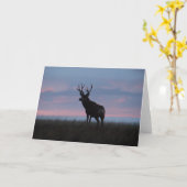 D3 de Bok van de Zonsopgang van de Bok van de Kaart (Gele Bloem)