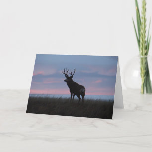 D3 de Bok van de Zonsopgang van de Bok van de Kaart