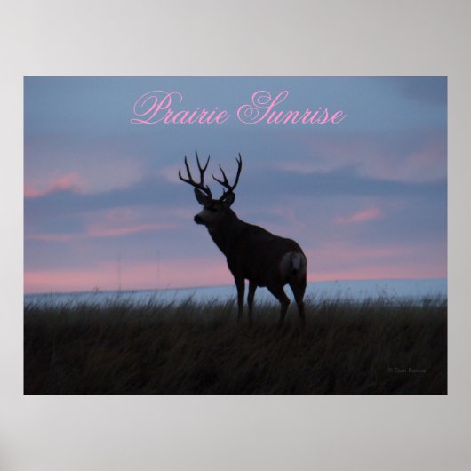 D3 Muildier Zonsopgang Bok Poster (Voorkant)