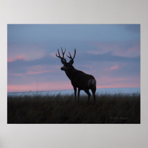 D3 Muildier Zonsopgang Bok Poster