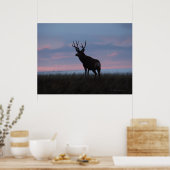 D3 Muildier Zonsopgang Bok Poster (Keuken)