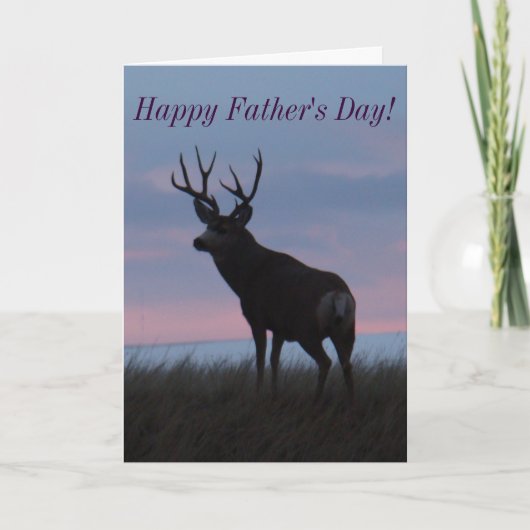 D3 Muildierbok Sunrise Bok Kaart (Voorkant)