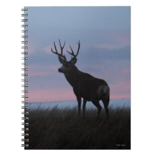 D3 Muildierbok Sunrisebok Notitieboek