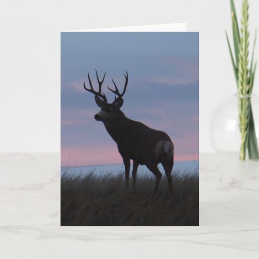 D3 Mule Deer Buck Sunrise Buck Kaart (Voorkant)