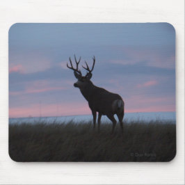 D3 Mule Deer Buck Sunrise Buck Muismat