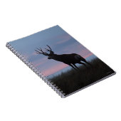 D3 Mule Deer Buck Sunrise Buck Notitieboek (Rechterzijde)