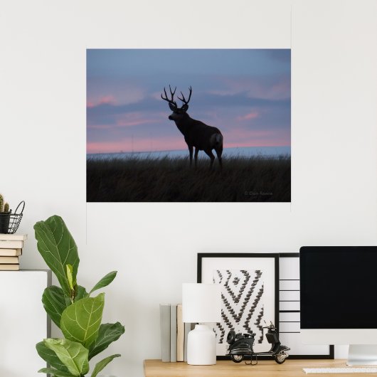 D3 Mule Deer Sun Rise Buck Poster (Thuiskantoor)