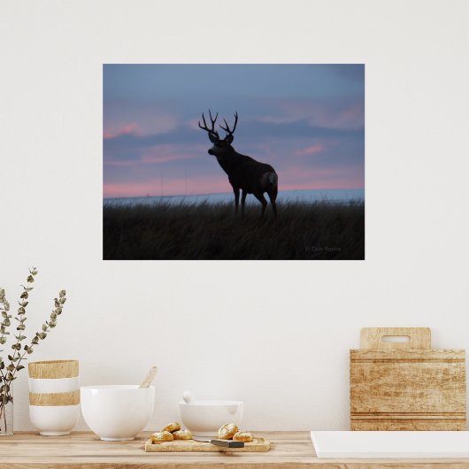D3 Mule Deer Sun Rise Buck Poster (Keuken)