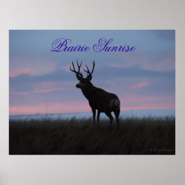 D3 Mule Deer Sunrise Buck Poster