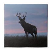 D3 Mule Deer Sunrise Buck Tegeltje (Voorkant)