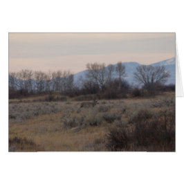 D4 Mule Deer Bok en Sweet Grass Hills
