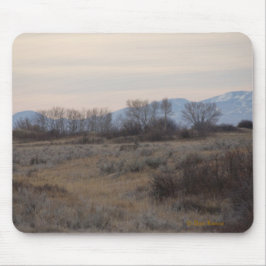 D4 Mule Deer Bok en Sweet Grass Hills Muismat