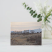 D4 Mule Deer Buck en Sweet Grass Hills Briefkaart (Staand voorkant)