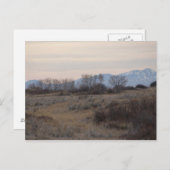 D4 Mule Deer Buck en Sweet Grass Hills Briefkaart (Voorkant / Achterkant)