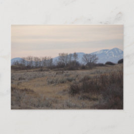 D4 Mule Deer Buck en Sweet Grass Hills Briefkaart