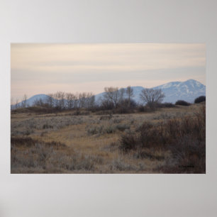 D4 Mule Deer Sweet Grass Hills Poster