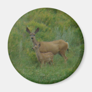 D5 Muildier en jong Magneet
