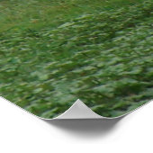 D5 Muildierhinde en jong Poster (Hoek)