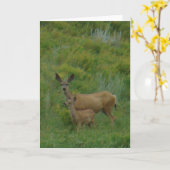 D5 Mule Deer Doe en Fawn Kaart (Gele Bloem)