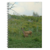 D5 Mule Deer Doe en Fawn Notitieboek (Voorkant)