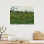 D5 Mule Deer Doe en Fawn Poster (Keuken)