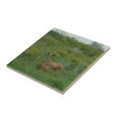 D5 Mule Deer Doe en Fawn Tegeltje (Zijkant)