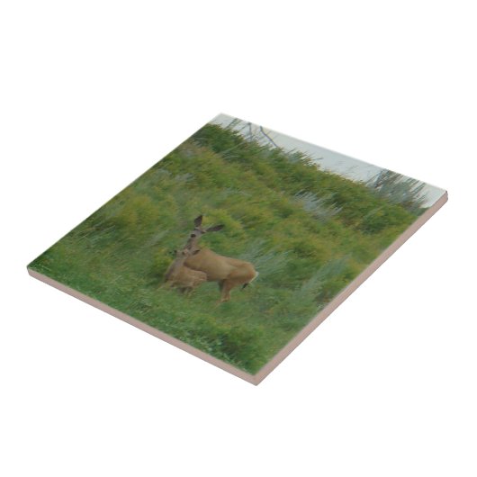 D5 Mule Deer Doe en Fawn Tegeltje (Zijkant)