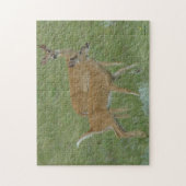 D6 Witstaartherten Jonge Bokken Legpuzzel (Verticaal)