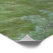 D6 Witstaartslang uit de tongen Poster (Hoek)