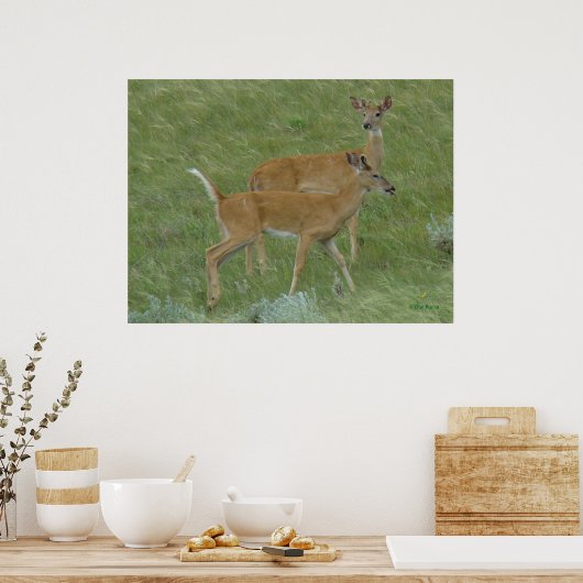 D6 Witstaartslang uit de tongen Poster (Keuken)