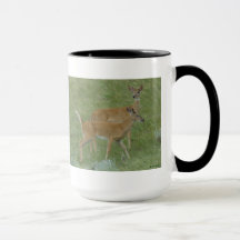 D6 Witstaartslopende Deer Young Bucks